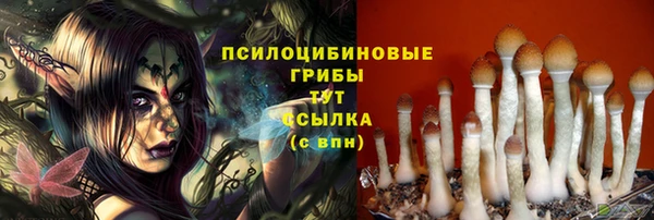 СК Красноперекопск