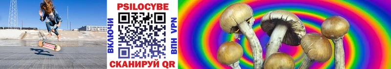 Псилоцибиновые грибы мицелий  Купить где  Нарткала 